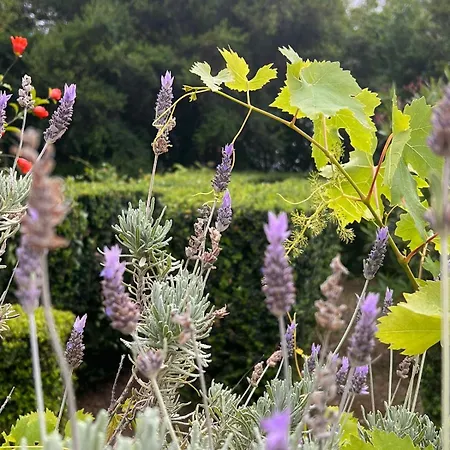 Garden Of Eden - Apartamento Sveti Vlas